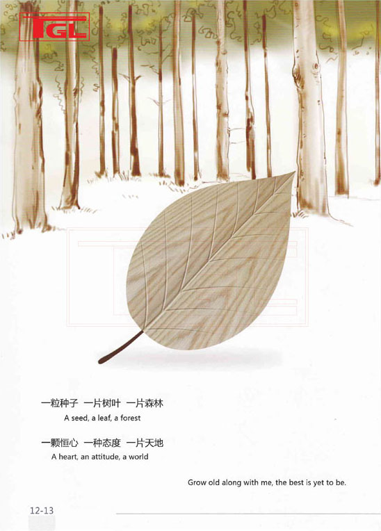 Tấm da cửa HDF Veneer - HDF Door Skin